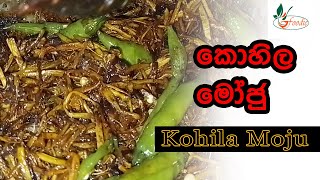 Kohila Moju  කොහිල මෝජුවක් ලංකාවේ විදියට [upl. by Etnoed]