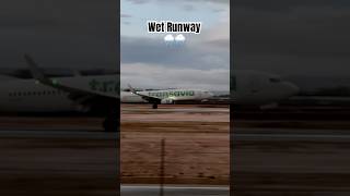 Wet Runway  b737 Transavia Landing at FAO aviation avgeek planesspotting airport [upl. by Micheal854]