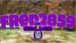 🔴Gorilla Tag Stream 53🔴 [upl. by Nonnerb166]