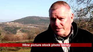 Wines and food of Istria in Croatia w Guido Schwengersbauer [upl. by Nauj]