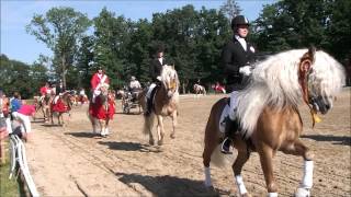 Haflinger Europa Championat 2012  Lap of honour [upl. by Edea]