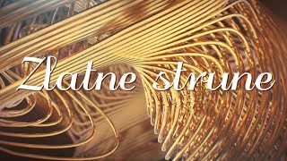 Zlatko Pejaković  Zlatne strune Official lyric video [upl. by Flyn]