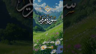 Quran Sharif Tilawat Urdu Ayat 27 33quran allah naat [upl. by Winters]