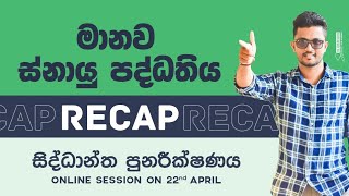 AL BIOLOGY මානව ස්නායු පද්ධතිය recap revision  Brain  Spinal cord මොළය සුශුම්නාව CNS  Unit 5 [upl. by Albertina]