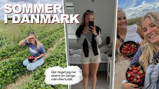 Sommerdage m Anse  første gang i jordbærmarken VLOG [upl. by Ynneh]