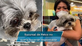 Mujer denuncia que personal de Petco le cortó el ojo a su perrita [upl. by Leidba]