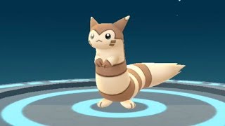 Pokemon Go Sentret to Furret Evolution Showcase Pokédex 161 and 162 [upl. by Eamanna]