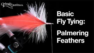 Basic Fly Tying Palmering Feathers [upl. by Arden]