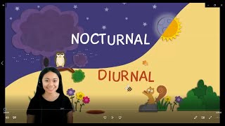 Nocturnal and Diurnal Animals  Grade 46 Science  T Ann [upl. by Hecker]