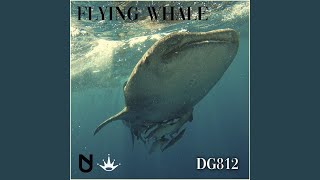 Flying Whale [upl. by Higginbotham]