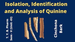 Isolation amp analysis of Quinine Cinchona Bark Pharmacognosy [upl. by Eeimaj51]