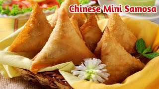 Chinese Mini Samosa Recipe  Chicken and vegetable samosa  Ramdan recipe  by Sarah Bilal [upl. by Ettevi]