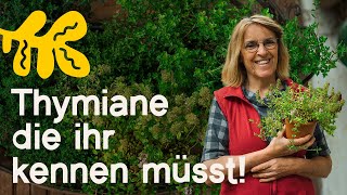 ThymianVielfalt 6 Arten Sorten die deinen Garten Küche und Gesundheit bereichern [upl. by Anerol]