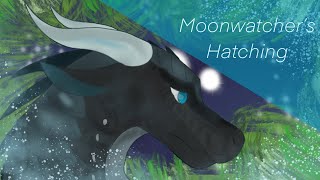 Moonwatchers Hatching  Wings of Fire [upl. by Romy988]