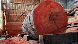 Wood Cutting Skills  Sawing A 1000 Year Old Tree Infested With Stem Borers [upl. by Tarkany72]