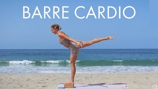 30 Min Barre Cardio Burn  At Home Full Body Workout [upl. by Tisbe]