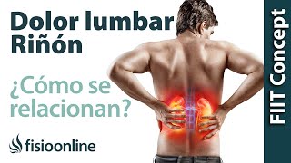 Riñón y dolor de espalda en la zona lumbar  ¿Cómo se relacionan [upl. by Helenka]