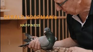 GERALD KOOPMANS PIGEON RACING HISTORY [upl. by Lamoureux]