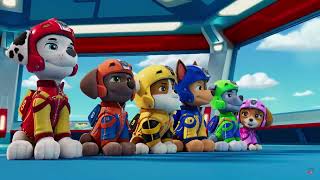 Cerebral Palsy Paw patrol air rescue Discussion [upl. by Orlena]