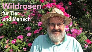 Wildrosen für Tier und Mensch [upl. by Alyar]