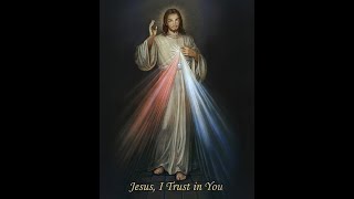 The Promises of Divine Mercy Sunday vs Plenary Indulgence and Why you Should Do both [upl. by Acinnor]