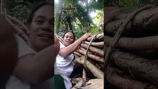 kabahag vlogfunny philippines minivlog [upl. by Sternberg]