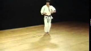 Heian Godan  Shotokan SKIF  Hirokazu Kanazawa [upl. by Ahsrav498]