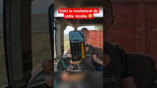 Voici le rendement de notre récolte agriculteur machinesagricoles sorgho ￼ [upl. by Tik]