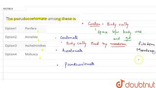 The pseudocoelomate among these is [upl. by Ynehpets160]