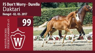 99 Daktari Hengst v FS Don‘t Worry  Durello [upl. by Latreshia554]