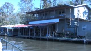 The Honey Island Swamp on the Pearl River in Louisiana [upl. by Rezzani]