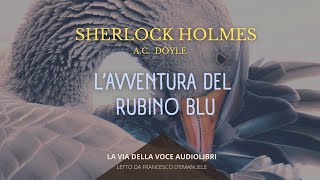 Sherlock Holmes Lavventura del Rubino Blu  AC Doyle  Audiolibro ITA [upl. by Aicatsue]