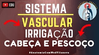 Artéria Carótida Externa Irrigação  Cabeça e Pescoço  Sistema Vascular  Anatomia Prática [upl. by Ahsram]