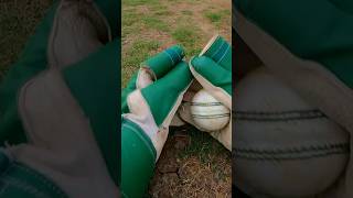 Wicket Keeper DIVING CATCH on Spinner😍🏏 shorts cricketcardio wicketkeeper [upl. by Felder]