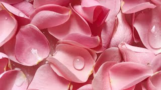 Eau de rose du jardin diy à faire soi même avec des pétales de roses très facile à faire [upl. by Magdau]