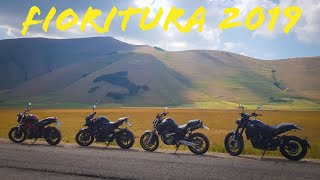 FIORITURA Castelluccio di Norcia  MOTOVLOG [upl. by Mulac]