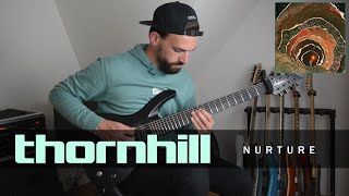 Thornhill  Nurture  Guitar Cover  Damien Reinerg [upl. by Nossah]