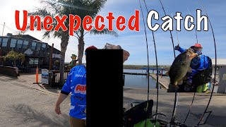 California Delta April Bass Fishing 2024  Big Ones [upl. by Landri187]