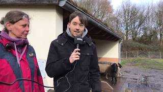 Zu Besuch auf der Stadtteilfarm Huchting  Bremennews unterwegs 1Teil [upl. by Melquist]