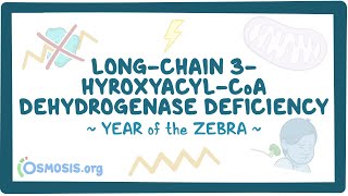 Longchain 3hydroxyacylCoA dehydrogenase deficiency Year of the Zebra [upl. by Galitea]