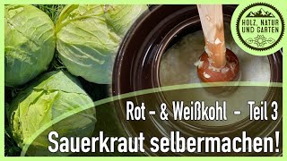 Sauerkraut ganz klassisch selber machen  Rot und Sauerkraut Teil 3 [upl. by Lough]