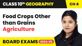 Food Crops Other than Grains  Agriculture  Class 10 Geography Chapter 4  CBSE 202425 [upl. by Eerized]