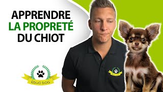 Comment rendre un chiot propre  Méthode EDUC DOG [upl. by Bijan697]