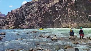 Bedrock Rapid Grand Canyon Colorado River Rafting June 2022 [upl. by Arbed543]