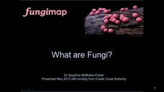 What are Fungi [upl. by Assehc198]