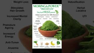 Health  Moringa A powerful Herb [upl. by Juana]