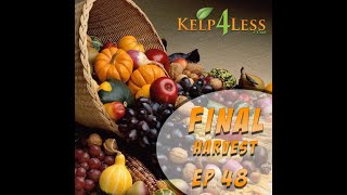 Kelp4less Podcast  Ep 48  Final Harvest and Prepping Your Garden for End of Season [upl. by Laine]