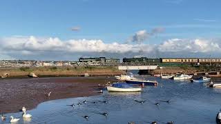 ‘The Mayflower’ 1Z22 with Castles 7029 amp 5043 at Cockwood Harbour  Friday 27092024 [upl. by Odarbil]