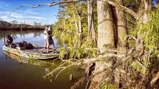 Fishing Cypress Trees for Bass Tech Tips 8 [upl. by Westleigh156]