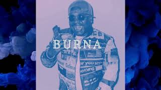 FREE Peewee Longway 2024 Type Beat  BURNA [upl. by Retepnhoj]